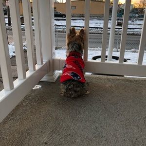 Meet your Posher, Alexa